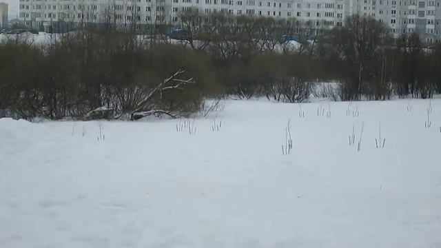 18.02.13 Бетатрон 40 Жилсоцстрой форум отзывы Минск смотреть онлайн