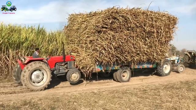 Ford Tractor Fail to Pulling out Sugarcane loaded Trolley | MF 165 For Pushing | Punjab Tractors смотреть онлайн
