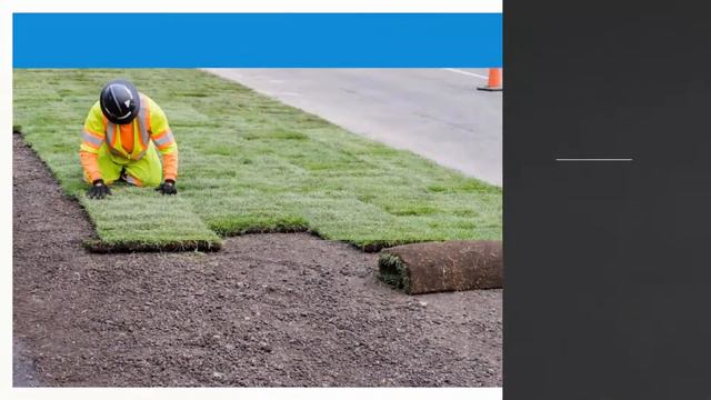 Windward System Five - Garden Center Software смотреть онлайн