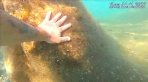 ЗАКРЫТИЕ СЕЗОНА С РЫЖИКОМ )) КУПАЕМСЯ ЯЛТА 1 НОЯБРЯ 2022 КРЫМ / ЯЛТА ЛАЙФ КРЫМ / Жизнь в Ялте