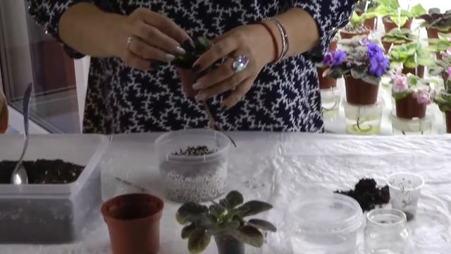 (ЮЗ-2020) Мастер класс по теме «Цветы, цветочки»