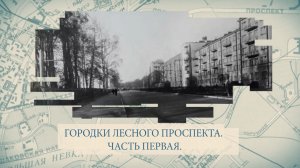 Малые родины большого Петербурга. Городки Лесного проспекта. Часть первая