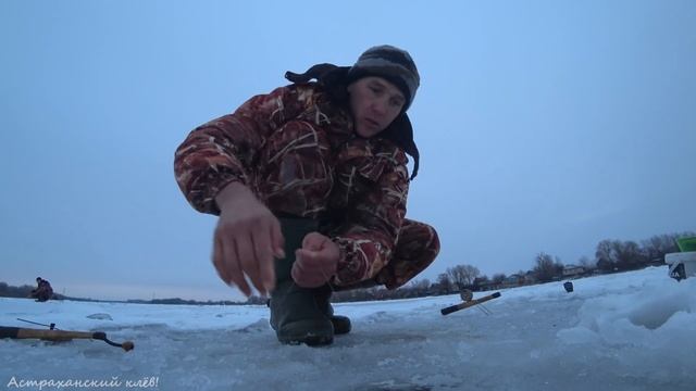 Мой ПЕРВЫЙ ЛЕЩ НА ШАРИК. ГУСТЕРА (Тарашка) на КАМЫШАТНИК. Зимняя рыбалка со льда Астрахань. Вечерка смотреть онлайн