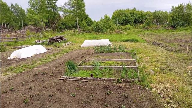 был вынужден уйти из дома что случилось #помощь #жизнь #доступнаясреда #любовь смотреть онлайн