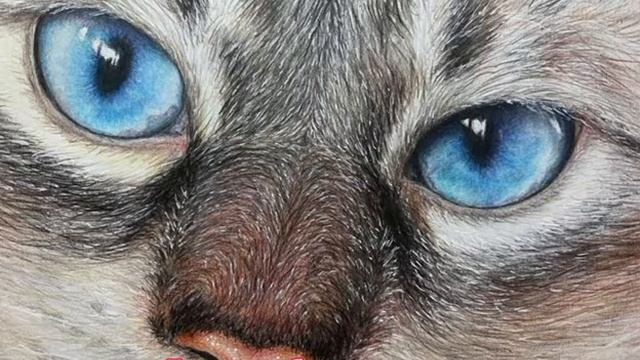 Рисунки животных своими руками смотреть онлайн