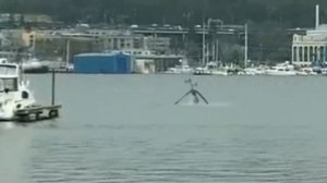 Кто Такой Сиреноголовый? Откуда Он Появился? История Сиреноголового