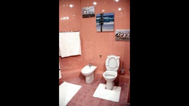 Сдается отличная двухкомнатная квартира на Бот... смотреть онлайн