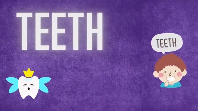 Body Parts For Kids| The Human Body For Children | Body Parts For Toddlers Nursery Rhymes |