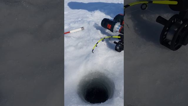 рыбалка на форель в Хрящевке, Самарская область. смотреть онлайн