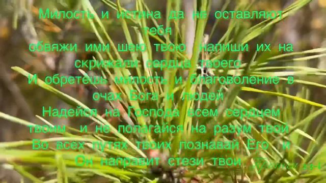 Самые лучшие пожелания С Днём Рождения,- Библейские! (Анна Юркин) смотреть онлайн