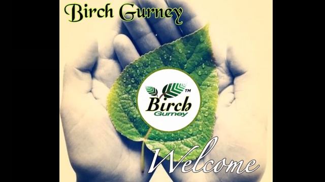 Asplenium Crispy Wave Care | Asplenium Crispy Wave Tips & Tricks | Asplenium Crispy Wave Plant | смотреть онлайн