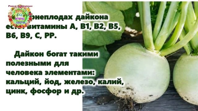 Интересные Факты и Загадки