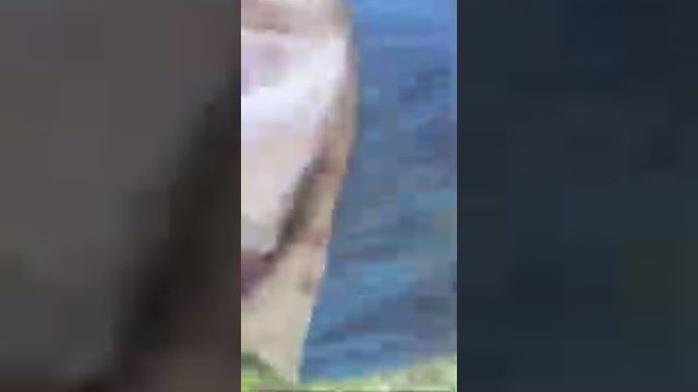 Пруд Сухой 2 Рыбалка 6 смотреть онлайн