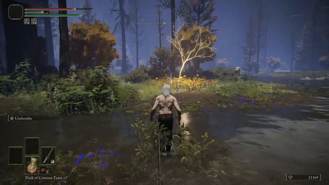 Elden Ring - Second Golden Seed Location In Liurnia Of The Lakes (Increase Flask's Uses) смотреть онлайн