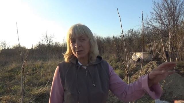 Взял друга из приюта смотреть онлайн