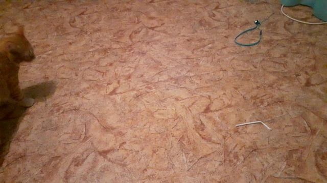 Ням ням ням моя сладкая трубочка ? смотреть онлайн