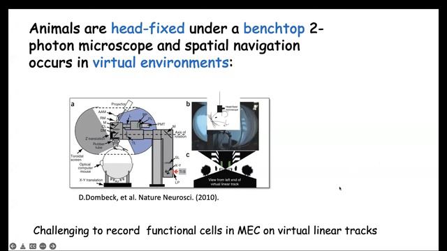 Association of ERC Grantees (AERG) seminar by Nobel laureate and ERC Grantee Prof. May-Britt Moser смотреть онлайн
