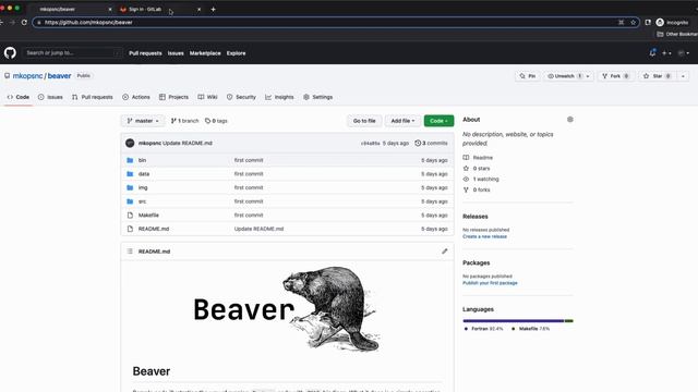 CI/CD 01 - Importing project to EUROfusion (ACH-04) Gitlab смотреть онлайн