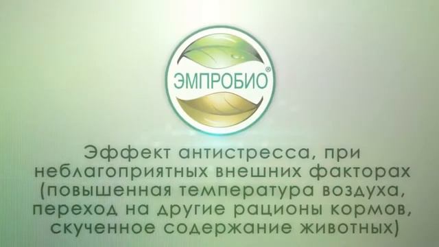Пробиотик. Результаты использования Эмпробио смотреть онлайн