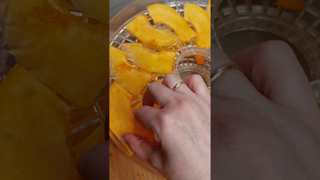 Елена Шурави