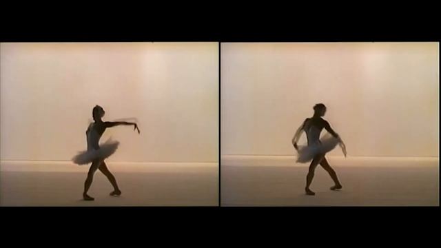 The Dying Swan (Video art, 2018) смотреть онлайн