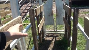 Раскол для ветеринарной обработки КРС