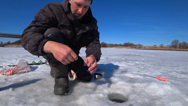 ВАЗУЗСКОЕ ВОДОХРАНИЛИЩЕ! ЗАКИНУЛ ПОПЛАВОК НАЛОВИЛ,что на берег не выйти! КЛЕВ как ИЗ ПУЛЕМЕТА смотреть онлайн