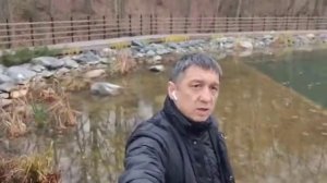 Биоплато для пруда. Биофильтр для пруда.