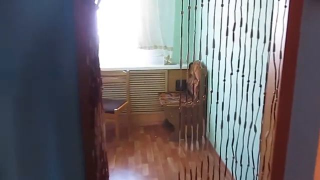 Как купить общежитие и начать получать пассивный доход на торгах по банкротству!