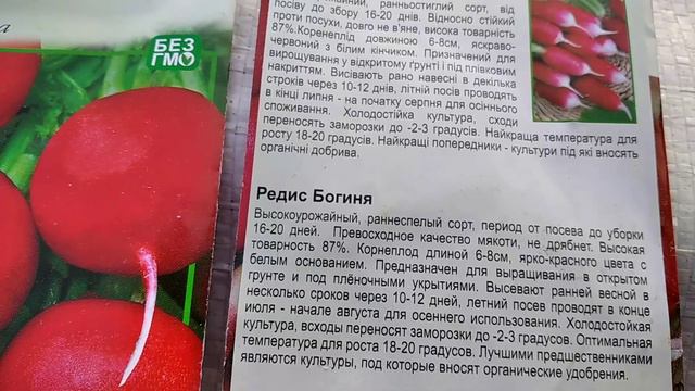 Сеим редиску смотреть онлайн