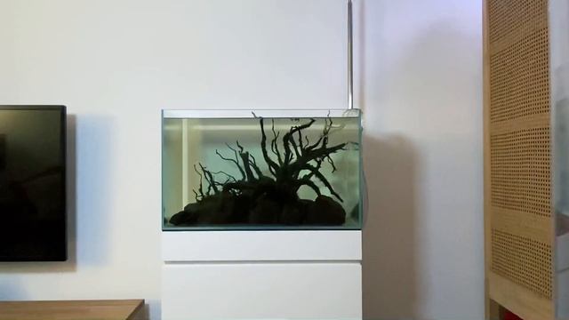 How To Create An Island Style Aquascape смотреть онлайн