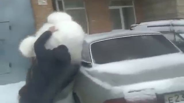 Купили огромного медведя:D смотреть до конца смотреть онлайн