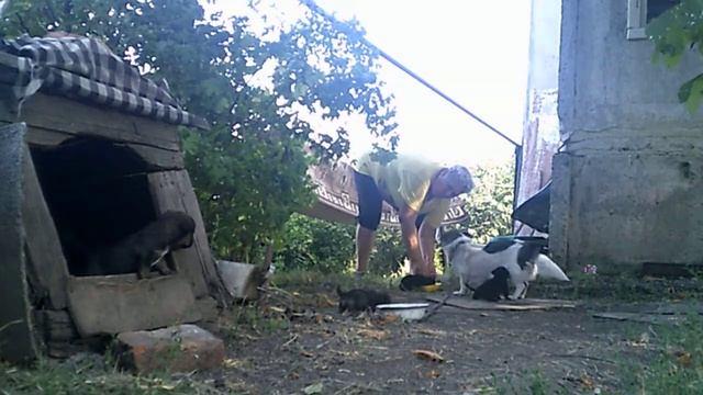 Приключения д’Артаньяна, Атоса, Портоса и Арамиса.-3 смотреть онлайн