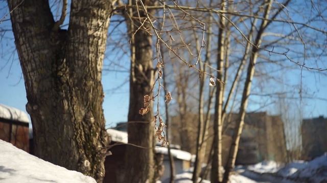 Тест объектива Объектив Юпитер-3: Советская альтернатива Zeiss Sonnar 1.5/50 | молчаливый обзор смотреть онлайн