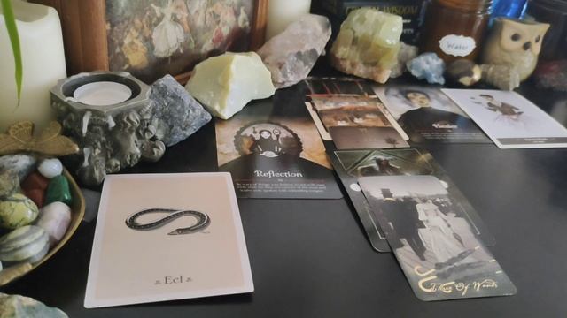 AQUARIUS ♒ Samhain Tarot & Oracle Reading Guidance for the Year Ahead смотреть онлайн