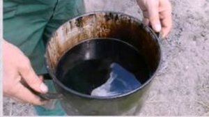 Для чего опытные огородники используют на огороде березовый дегть?