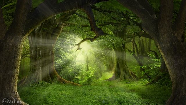 12 Hours Relaxing Wallpapers Slideshow in 4K + Jungle Sounds - Mystic Jungle Forest смотреть онлайн