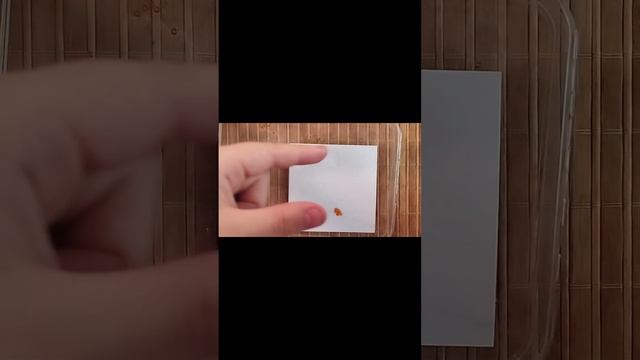 леску надо брать 15-20 см желательно смотреть онлайн