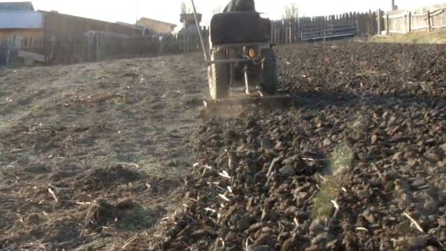Обзор орудий самодельного трактора и запоздавшее боронование смотреть онлайн