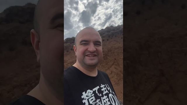 Где живут ласточки, теперь вы видели всё ? #ласточки #гнездо #вмиреживотных