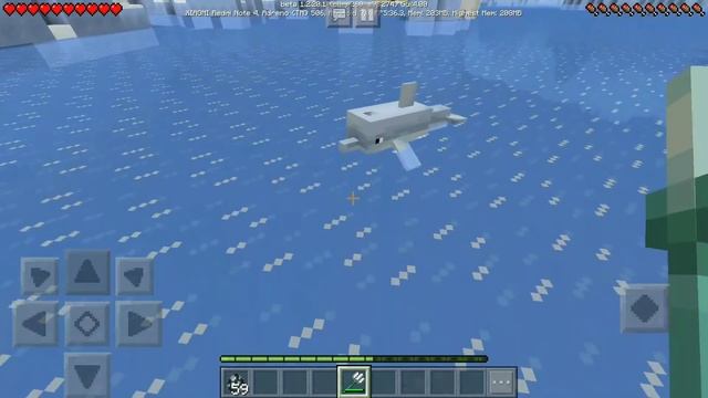 ТОП 5 ФАКТОВ О ДЕЛЬФИНАХ В MINECRAFT 1.2.20.1!!! смотреть онлайн