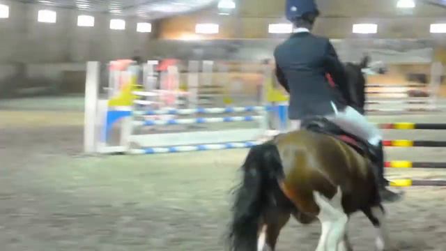 Annki & Bongo Show Jumping 100cm / January 2011 смотреть онлайн