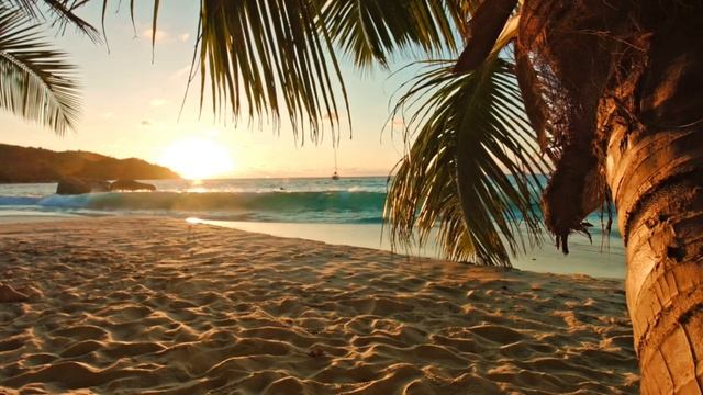 Путешествие на Сейшелы смотреть онлайн