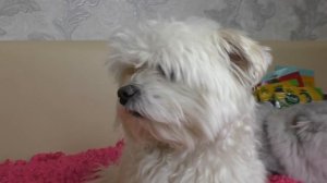 УЕЗЖАЕМ В ВЕСЕННИЙ ЗВЕРОЛАГЕРЬ НА ПРИРОДЕ