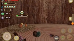 Симулятор белки. Завели ребёнка!