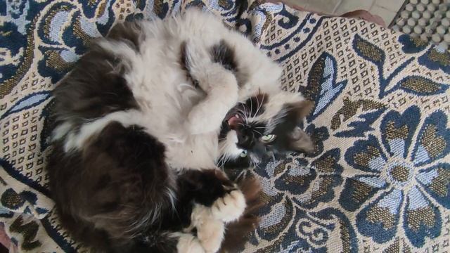 Славянск 28 апреля 2023 день сегодня