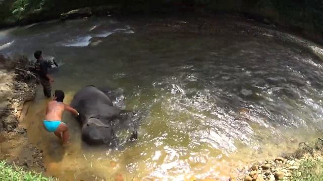 Экскурсия на "Као Лак". Таиланд смотреть онлайн