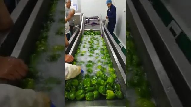 Bubble Type Vegetable Washing Machine смотреть онлайн
