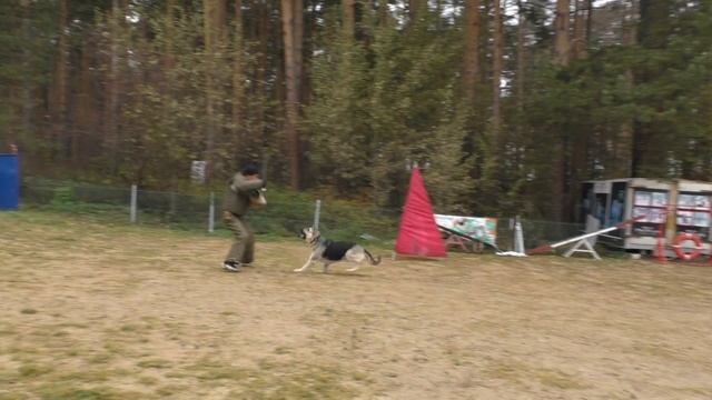 Голджин Кабира.ПРК. МОНО ВЕО Екатеринбург -2017.....11 смотреть онлайн