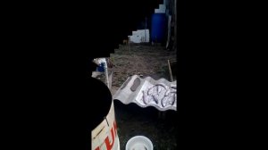 Плотва гарячего копчения за 40 минут